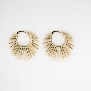 Coqueta dorada picos