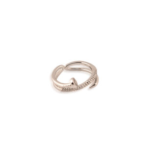 anillo clavo cristales
