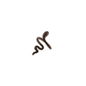 Anillo serpiente