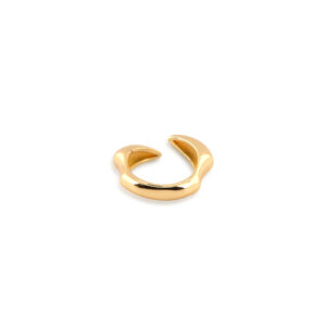anillo dorado
